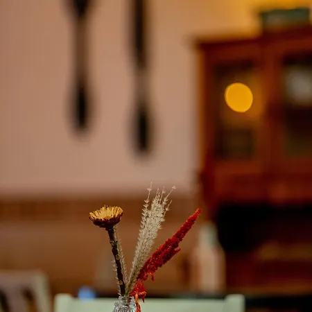 Cangalho Premium Bed and breakfast Azueira