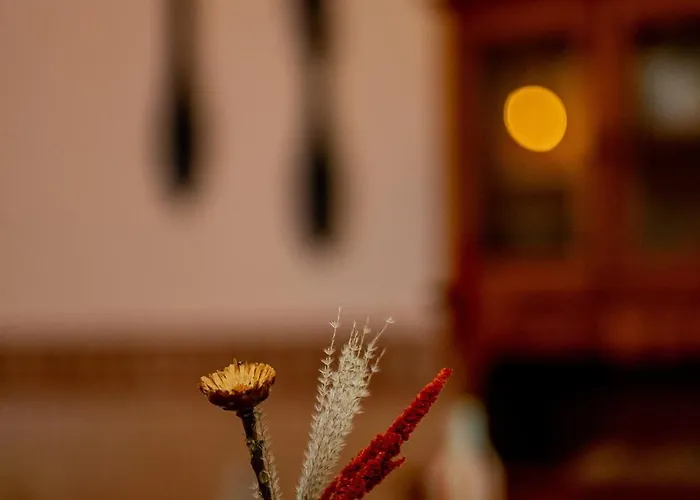 Cangalho Premium Bed and Breakfast Azueira